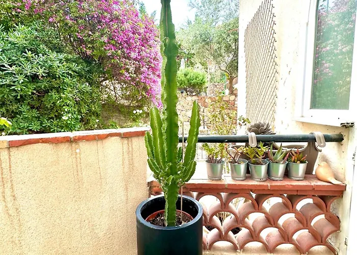 شقة Superbe 3 Pieces - 6 Pers - Clim - Jardin - Apercu Saint-Raphaël